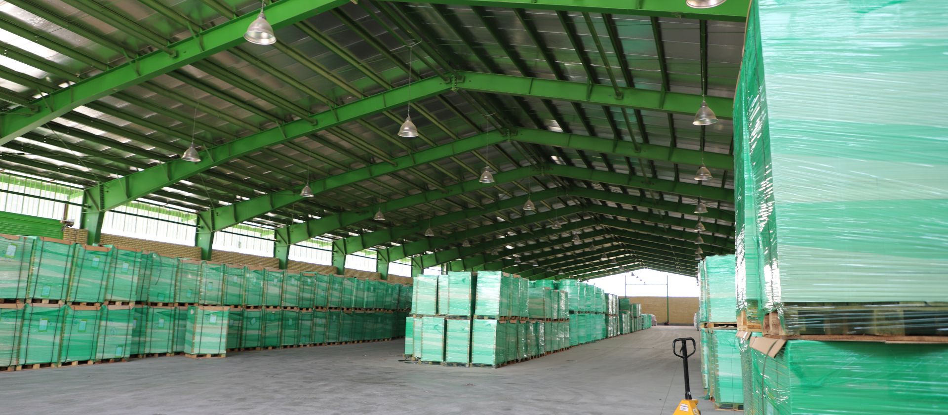Are Bagasse Plates Really Eco-Friendly?