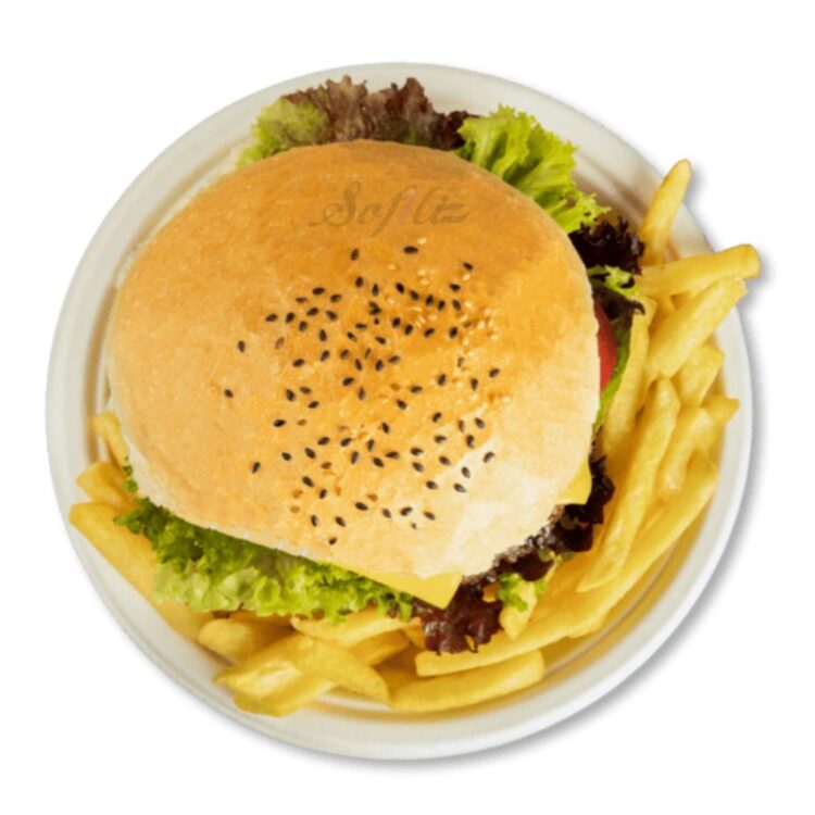 10 inch plate