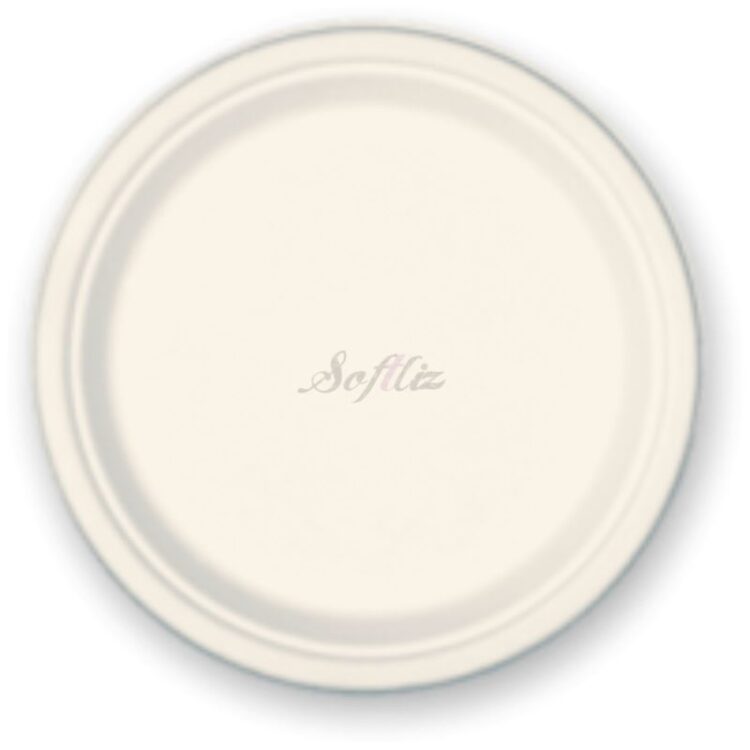 9 inch plate