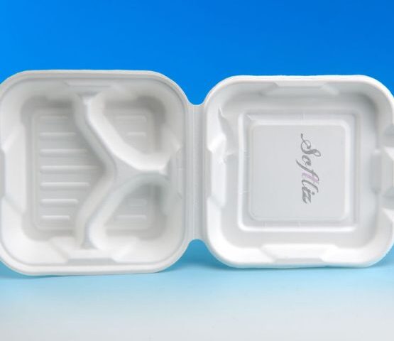 Are Bagasse Plates Really Eco-Friendly?