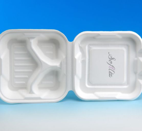 Are Bagasse Plates Really Eco-Friendly?